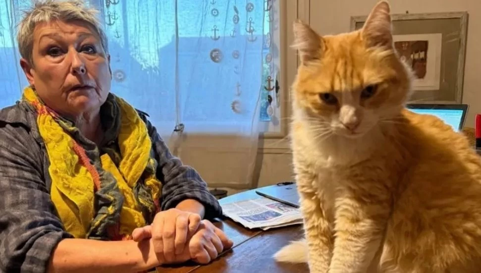 Fransa’da kediye ev hapsi verildi!