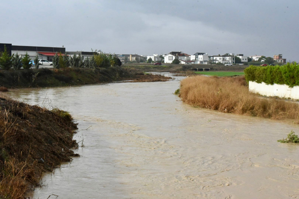 Tabipler Birliği: Acil Durum Masası kurulmalı