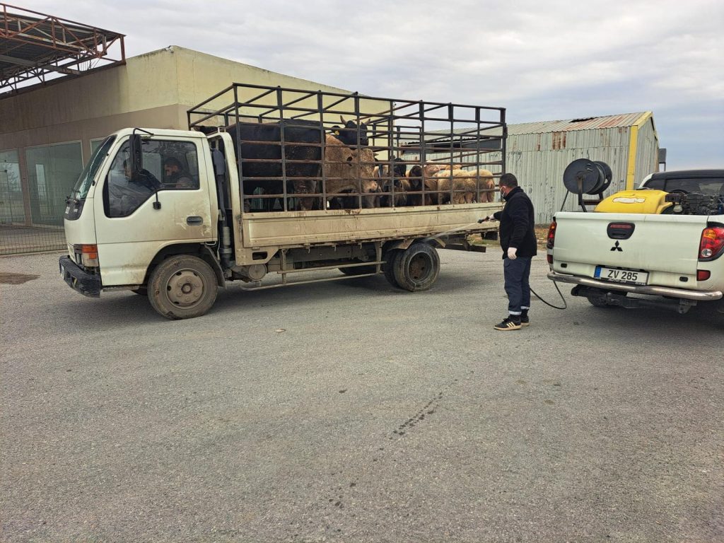 LTB, şap hastalığına karşı tüm tedbirleri hayata geçiriyor