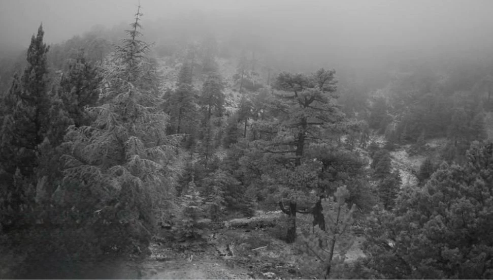 Trodos dağlarına yılın ilk karı düştü