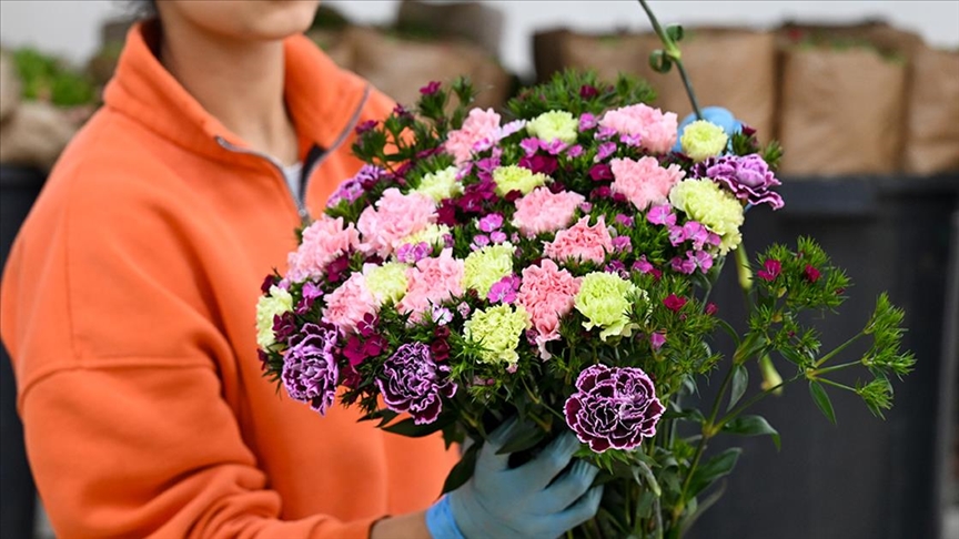 Türkiye’den yılbaşı için 12 milyon dolarlık çiçek ihracatı