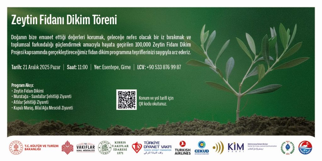 Kıbrıs Vakıflar İdaresi yarın Esentepe’de zeytin fidanı dikecek