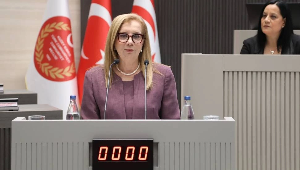 “Kapsamlı ve modern yöntemlerle yürütülecek bir nüfus sayımına ihtiyaç duyuyoruz”