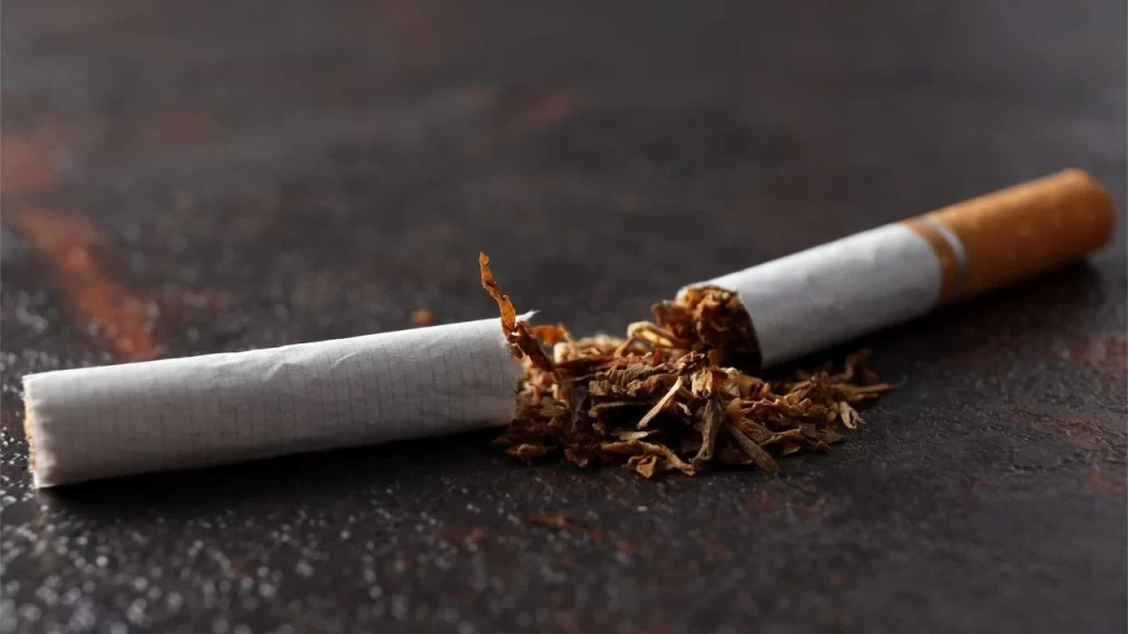 Lefke Çevre ve Ekoloji Derneği’nden “kapalı alanlarda sigara içilmesin” çağrısı