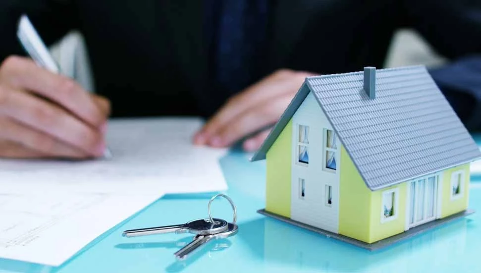 Güney’de Kıbrıs Türk taşınmazlara yoğun ilgi: Araziler Şubat’ta açık artırmayla kiraya verilecek