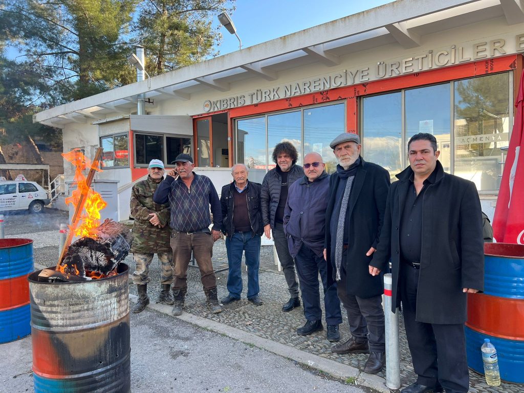 Narenciye Üreticiler Birliği’nden Cypfruvex yönetimine eleştiri