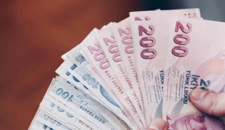 Tarım ve Doğal Kaynaklar Bakanlığı: Zeytin üreticilerine ilk kez dolu tazminat ödemesi gerçekleştirildi