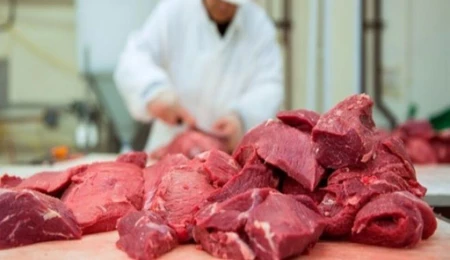RES-BİR karkas et ithalatına izin verilmemesi halinde eyleme gideceği uyarısında bulundu