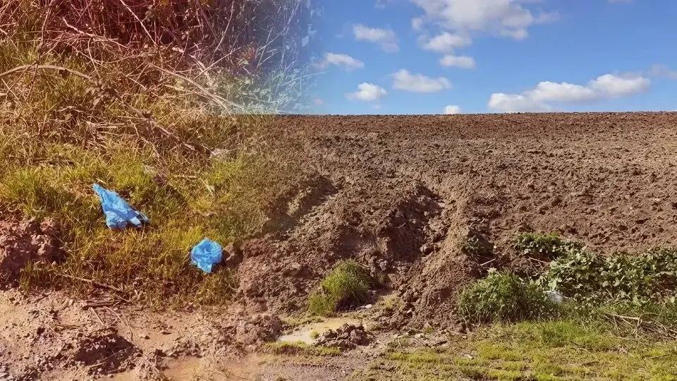 İstanbul’da korkunç cinayet