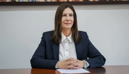 Sıla Usar İncirli: Ziya Öztürkler ve diğer dosyalar hakkında bilgi almak için yarın polise gideceğiz