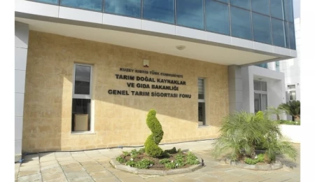 2024-2025 üretim yılı verim kaybı ödemesi yapıldı: 1166 üreticiye 28,5 milyon TL