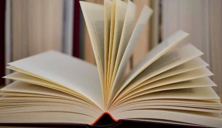 Dijital Kültür Derneği’nde başkanlığa yeniden Bilgehan Kafadar seçildi