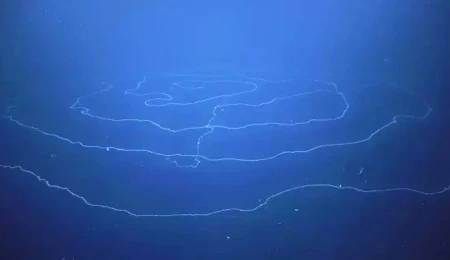 Okyanus tabanının altında tatlı su kaynağı olduğu doğrulandı