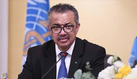 DSÖ: Sosyal platformlar, çocukların güvenliğini ve sağlığını koruyacak şekilde tasarlanmalı