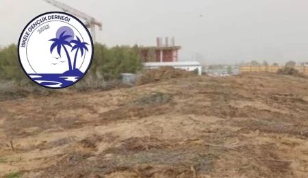 İskele Gençlik Derneği: Kamuya ait orman alanlarının tahribatı, geleceğin tahribatıdır