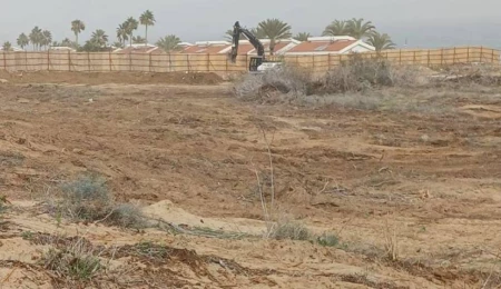 CTP Gençlik Örgütü: İskele’de ağaç kesimi yasaklı arazide inşaat izni verildi, 10 dönüm alan tahrip edildi!