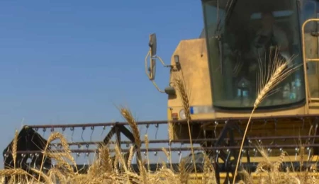 2025-2026 üretim yılı tazminat ödemeleri ve Doğrudan Gelir Desteği için son başvuru tarihi 27 Şubat