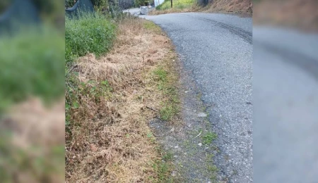 Lefke Çevre ve Ekoloji Derneği, ot kurutma ilaçlarının kullanılmasına tepki gösterdi