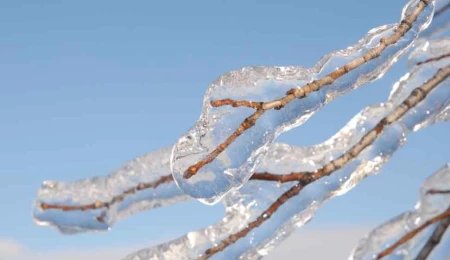 Yarın, pazar ve pazartesi sabah saatlerinde don olayı bekleniyor