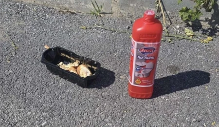 Metehan’da sokak hayvanlarına yönelik zehirleme girişimi: Ekmek parçasına tuz ruhu döküldüğü iddia edildi