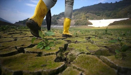 Dünya Meteoroloji Örgütü: İklim sistemi, “tarihteki en dengesiz” döneminde