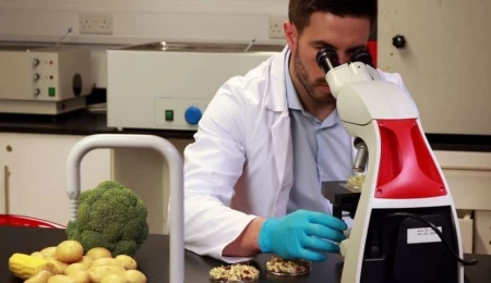 Haftalık gıda denetimleri: Armut, biber, patlıcan ve çilekte limit üstü pestisit çıktı; imha edildi