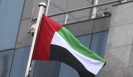 BAE, ülkedeki İran vatandaşlarının sınır dışı edileceği iddialarını yalanladı