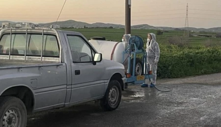 Güney Kıbrıs’ta şap vakası görülen çiftlik sayısı 101’e ulaştı: İkinci domuz çiftliği vakası da görüldü