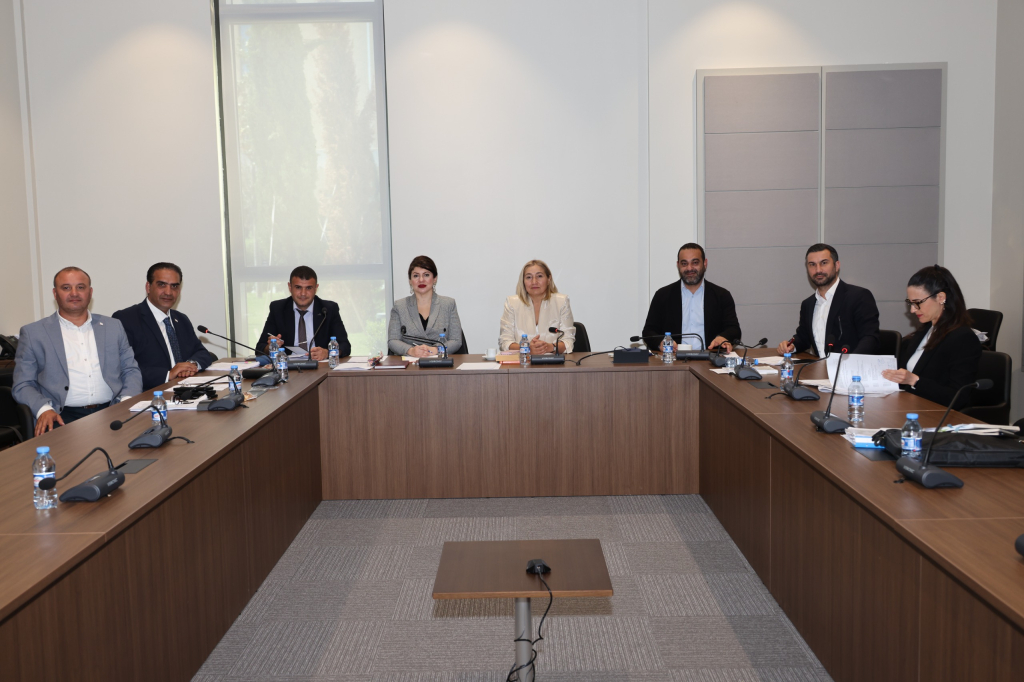 Konut Edindirme (Değişiklik) Yasası yeniden komitede
