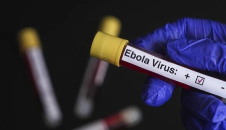 Demokratik Kongo Cumhuriyeti’nde Ebola’dan 202 kişi öldü
