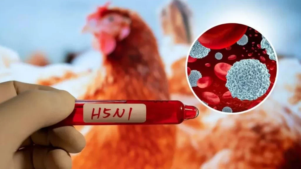 Yeni Zelanda’da ilk kuş gribi vakası doğrulandı