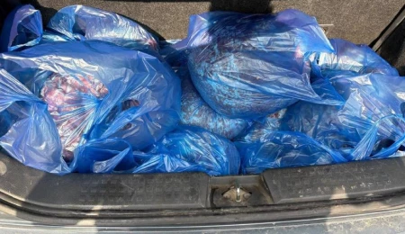 Metehan Sınır Kapısı’nda 94 kilo kaçak et ele geçirildi: 280 bin TL para cezası kesildi