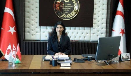 Fazilet Özdenefe: AP kararı Kıbrıs Türk halkının AP ve AB’ye güvenini olumsuz etkiledi