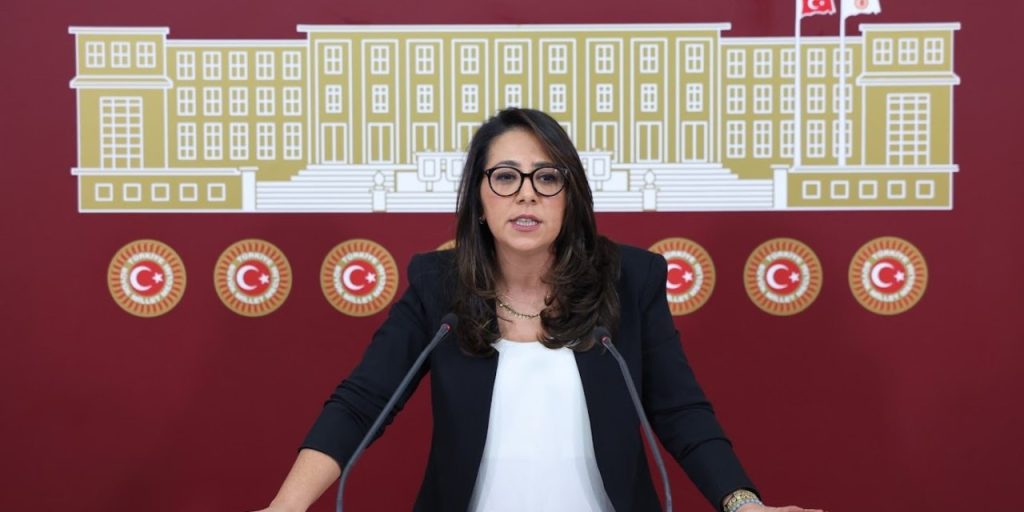 Kadıgil hakkında “Cumhurbaşkanına hakaret” ve “Tehdit” suçlarından soruşturma