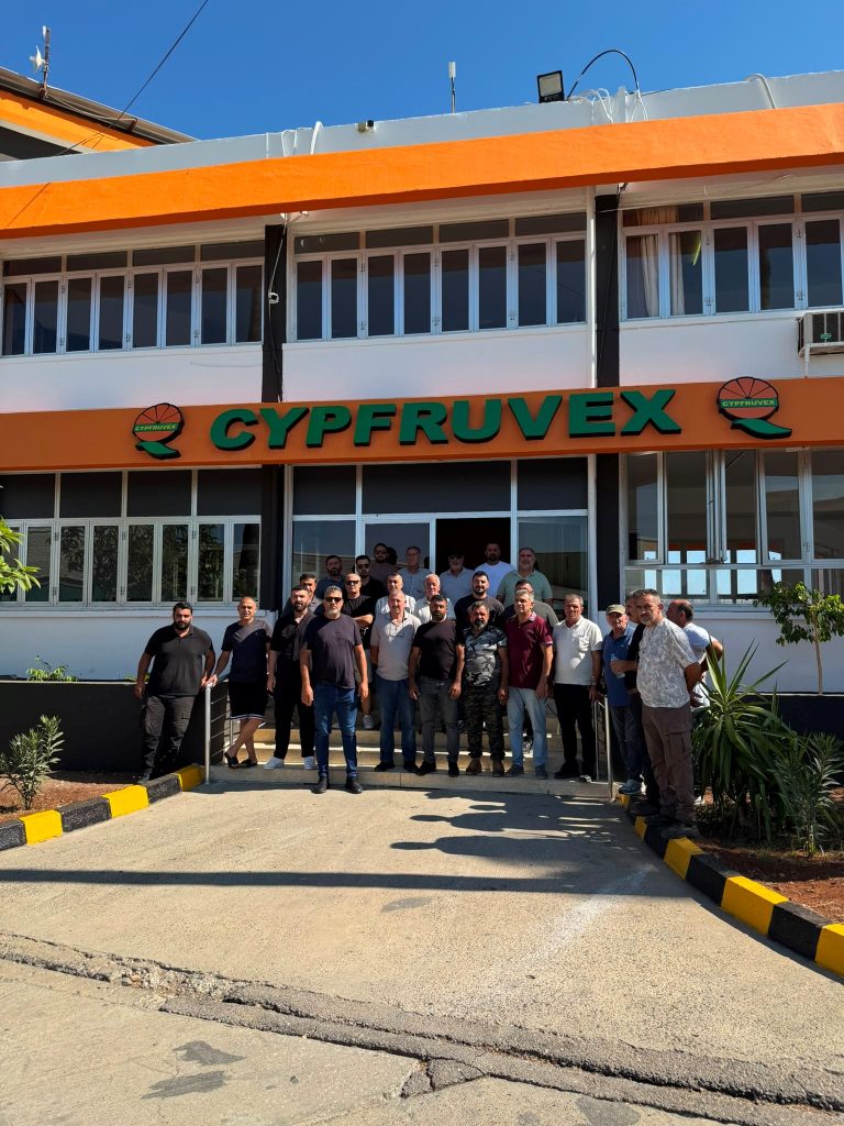 Narenciye Kesim Ekipleri Birliği ödeme talep etti