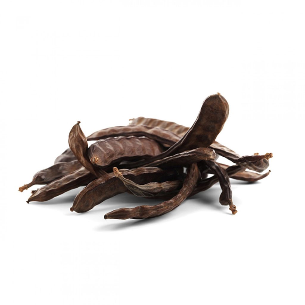 Lefke’de harup ve erkenci zeytin hasadı 24 Ağustos, yerli zeytin hasadı 14 Eylül’de…