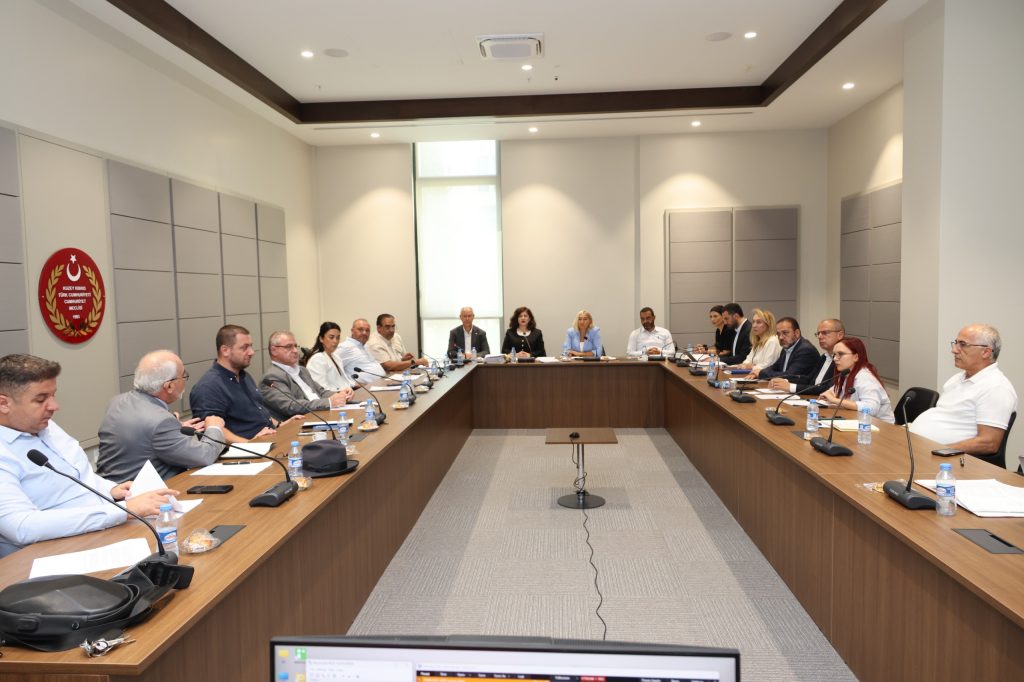 “Seçim ve Halkoylaması (Değişiklik) Yasa Önerisi” komiteden onaylanarak Genel Kurul’a sevk edildi