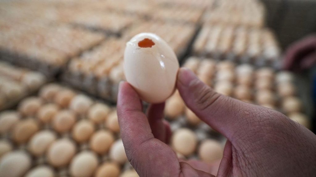 İngiltere’de salmonella salgınında 1 kişi öldü, 207 vaka tespit edildi