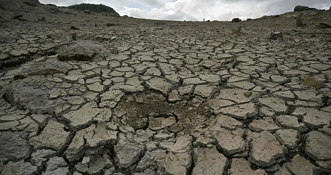 İsviçre, aşırı sıcaklar ve kuraklıkla mücadele için 70 milyon İsviçre frangından fazla kaynak ayırdı