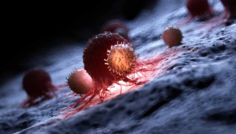 Kanser tedavisinde yeni umut: Otoantikor proteinler