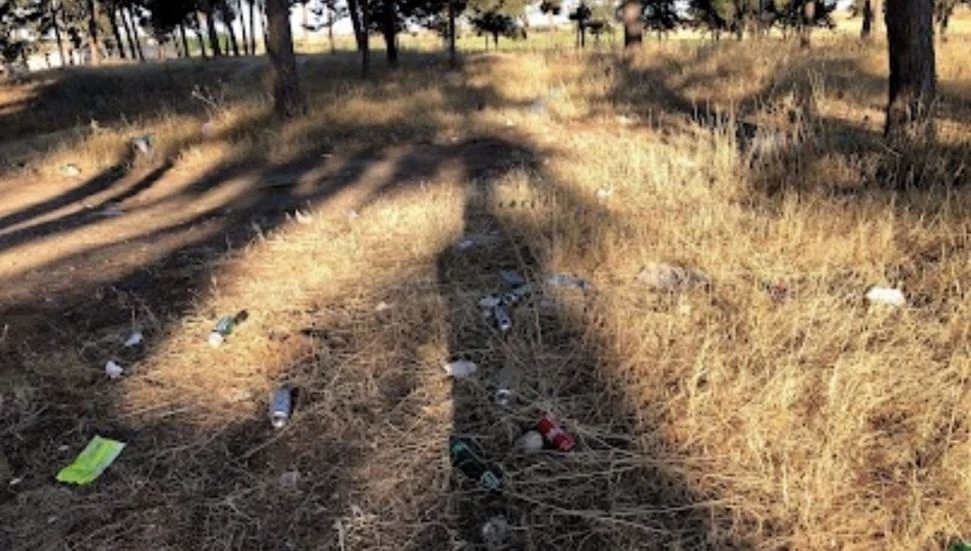 Sulak Alan Topluluğu ile Her Daim Doğa Dostları Grubu, Salamis’te cumartesi günü temizlik yapılacak