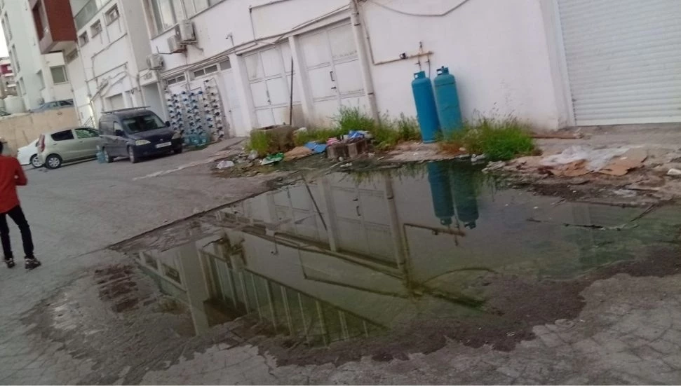 Lefke Çevre ve Ekoloji Derneği, yeniden foseptik birikimi tespit etti