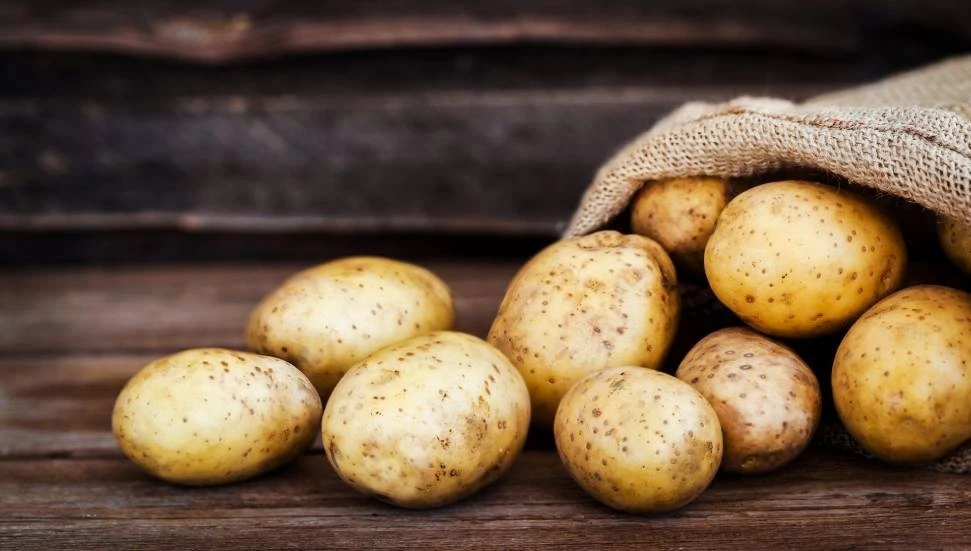 Rum tarım örgütlerinden patates üreticilerine su verilmesi talebi