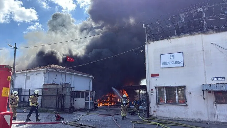 Tuzla’da lojistik depoda yangın: Kereste deposuna ve ağaçlık alana sıçradı