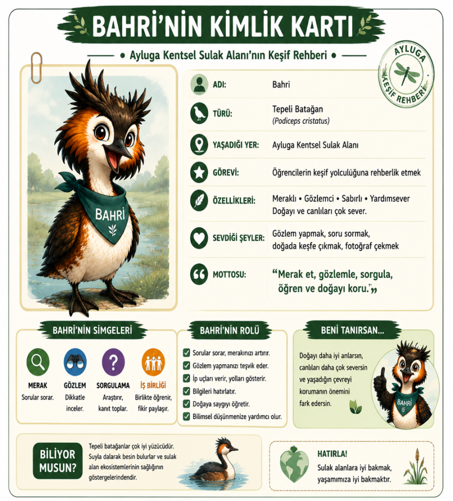 MAKAMER, öğretmenlere yönelik Ayluga Sulak Alanı eğitimi düzenliyor