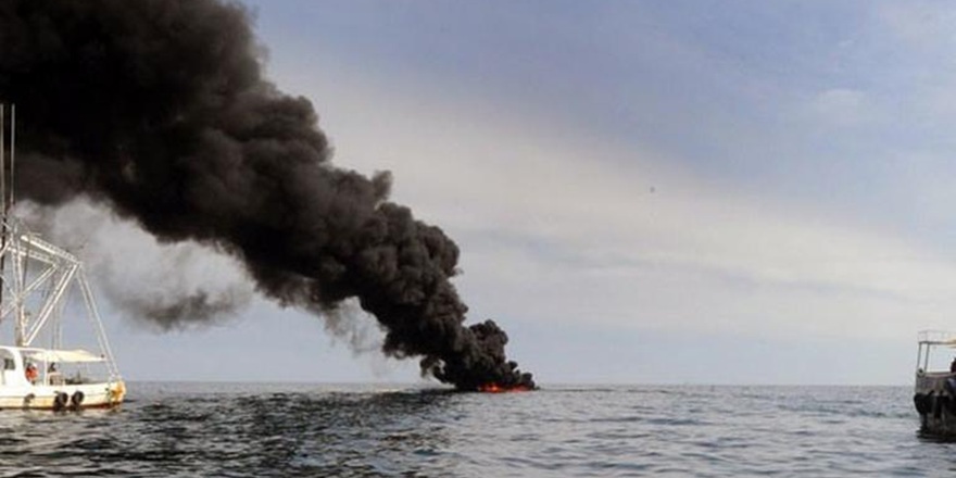 Meksika Körfezi’ndeki petrol kazasından sonra deniz canlıları yüzde 60 azaldı